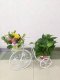 1Set 2-layer Bicycle Flower Plant Display Stand Holder Home