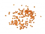 Orange Table Scatter