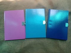 6Pcs Message Note Memo Pad Diary Book Randomly Color 6Pcs Message Note Memo Pad Diary Book Randomly Color