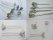 Hair Pins