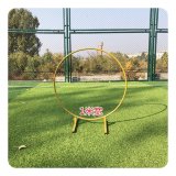 1X Golden Circle Wedding Garden Arch Backdrop Single Tube 1Meter