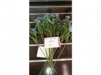 5Pcs Light Purple Flower 58cm Long we-flo166