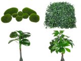 Artificial Plant