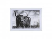 1Pc Scottish Highland Cow Print Art Poster Wall Decor Framed