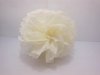 10 Ivory Tissue Paper Pom Poms Wedding Party Decoration 20cm Dia 10 Ivory Tissue Paper Pom Poms Wedding Party Decoration 20cm Dia