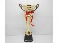 1X Metal Golden Plated Trophy Novelty Achievement Award 32.5cm