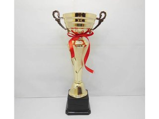1X Metal Golden Plated Trophy Novelty Achievement Award 32.5cm