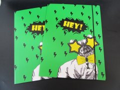 10Pcs Green Paper File Folder Card Holder Document Folder 10Pcs Green Paper File Folder Card Holder Document Folder