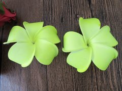 (image for) 1Pc Light Green Frangipani Hair Clips 95mm Dia