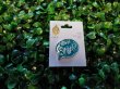 24Pcs Blue "OH SNAP" Enamel Pin Badge Rock Candy