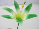 Foam Lily Flower