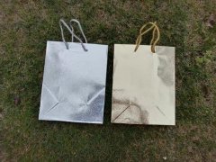 36 Glossy Silver Golden Paper Gift Carry Shopping Bag 23x18x10cm 36 Glossy Silver Golden Paper Gift Carry Shopping Bag 23x18x10cm