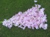 5Pcs Lily Artificial Flower Home Decoration - Pink
