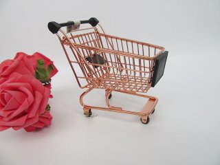 8Pcs Rose Golden Pretend Play Supermarket Handcart Storage Troll (image for) 8Pcs Rose Golden Pretend Play Supermarket Handcart Storage Troll