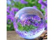 1X 60mm Clear Crystal Sphere Ball without Base (image for) 1X 60mm Clear Crystal Sphere Ball without Base