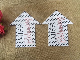 12Pcs Miss Behaving Sign Arrow Plaque Party Favor (image for) 12Pcs Miss Behaving Sign Arrow Plaque Party Favor