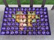 (image for) 1Boxes x 53 Purple Rose Buds Lover Mother Teacher Gift W/Case