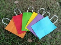 2x24 Kraft Paper Gift Carry Shopping Bag 22x16x8cm Mixed
