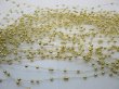 60Strands Golden Beaded Garland for Wedding Craft Dia.3mm (image for) 60Strands Golden Beaded Garland for Wedding Craft Dia.3mm