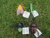 6Pcs Vivid Collectible Big Insects Gross Insectes Great Toy
