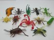 (image for) 120 New Insect Great Toys Learn World Insect Assorted