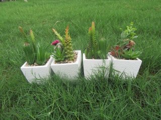 (image for) 12Pcs Artificial Succulents Flower Potted Plants Centerpieces