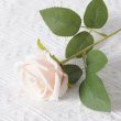 12Pcs Artificial Flower Champagne Lifelike Roses Real Touch for Wedding Home Office Decor (image for) 12Pcs Artificial Flower Champagne Lifelike Roses Real Touch for Wedding Home Office Decor