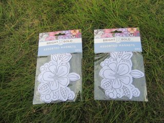 6Sheets x 2Pcs Color Your Own Flower Fridge Magnets Decorative (image for) 6Sheets x 2Pcs Color Your Own Flower Fridge Magnets Decorative