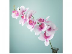 2Pcs White Artificial Moth Orchids Flower Arrangement Home Decor 2Pcs White Artificial Moth Orchids Flower Arrangement Home Decor