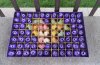 1Boxes x 53 Purple Rose Buds Lover Mother Teacher Gift W/Case