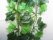 Leaf Garland