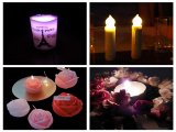 Candle Favour