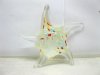 5X Glass Sea Star Ornament Seastar Crafts cr-d-ch15