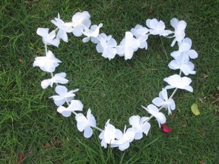 (image for) 48 Pieces White Hawaiian Dress Party Flower Leis/Lei