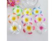 (image for) 1Pc Hair Clip with Foam Frangipani Flower 8.8cm New
