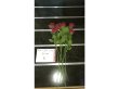 (image for) 10Pcs Red Flower 50cm Long we-flo175