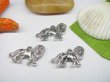 (image for) 20pcs Metal Lion King Charms yw-ac-mc27