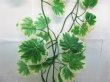 (image for) 12X White Begonia Leaf Garland Wedding Arch Decoration