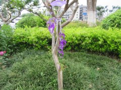 (image for) 4Pcs Purple Heart Wind Chime with 4 Aluminum Pipes