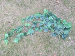 2Pcs Hanging Banyan Leaves Garland Arch Home Decoration 2Pcs Hanging Banyan Leaves Garland Arch Home Decoration