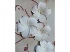 20 New White Fabulous Foam Frangipani Flower 8x3.5cm