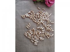 250g (615Pcs) Yellow Gold Teardrop Simulate Pearl Beads Loose Be
