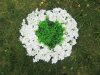 1X White Silk Flowers Panel Wedding Bouquet Home Garden