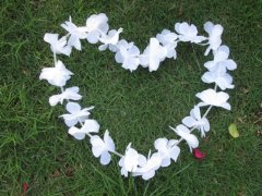 12 White Hawaiian Dress Party Flower Leis/Lei 12 White Hawaiian Dress Party Flower Leis/Lei