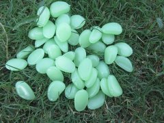 75Pcs Glow in The Dark Stones Green Pebbles Rock Fish Home Garde