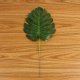 5Pkts X 20Pcs DIY Palm Fern Turtle Leaf Artificial Leaves Home P