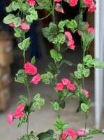 6Pcs 36 Flower Head Artificial Deep Pink Peony Leaf Garland Vine