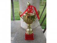 1Pc Golden Plated Trophy Cup Novelty Achievement Award 29cm High
