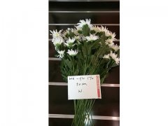 5Pcs White Flower 50cm Long we-flo170