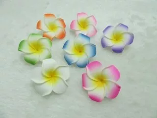 50 New Fabulous Foam Frangipani Flower 4.5x2cm Mixed